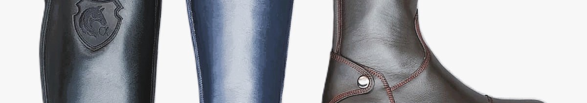 1c44ba51-8010-45fe-a094-4c3ee76d293d-сапоги цветные синие коричневые обложка.jpg